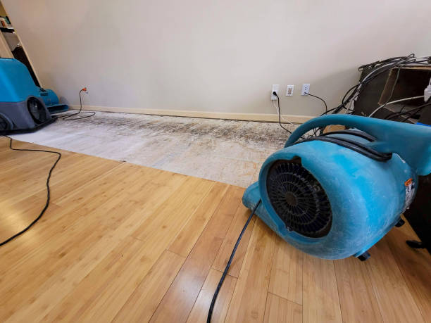 Professional Structural Drying technician working in Kings Mountain, NC